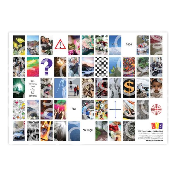 CCS Vision Sticker 2017 Edition Sheet (c) CCS Corporation